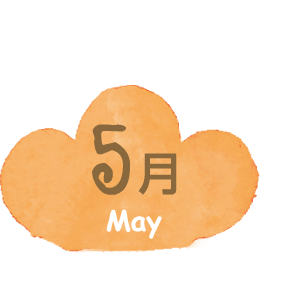 5月