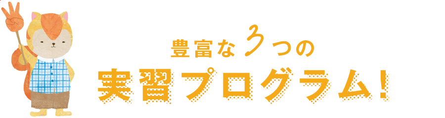 豊富な3つの実習プログラム!